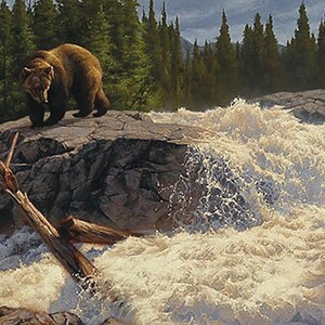 Op de afbeelding: Schilderij van een bruine beer die op een rotsachtige richel staat en uitkijkt over een woeste waterval. De beer kijkt de kijker aan, met een bos op de achtergrond. Een omgevallen boom ligt op de voorgrond.