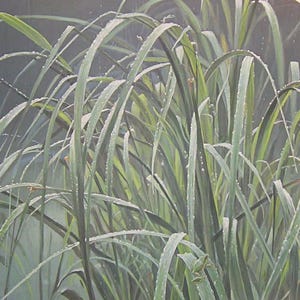 Peut inclure: Peinture à l'huile représentant de grands roseaux verts aux longues feuilles fines, brillants de gouttelettes d'eau. L'œuvre d'art présente une palette de couleurs douces et sourdes, mettant l'accent sur la texture et la forme des plantes. L'arrière-plan est gris brumeux.