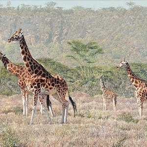 « La Reprise des Rothschild » de Guy Combes RARE toile numérotée en édition limitée, décoration d'intérieur, art mural à collectionner, oeuvre d'art animal safari kenyan en Afrique