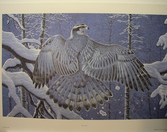 Randy FEHR &quot; Boreal Ghost &quot; Limited Edition RARE Print Signed & Numbered art Certificate of Authenticity Mint condition Goshawk Winter