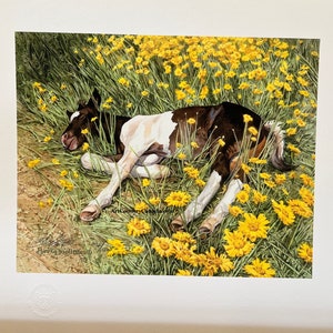 Bev DOOLITTLE &quot; Spring Break &quot; Limited Edition art print Signed & Numbered Camouflage Native Horse Rocks Snake Hidden Indian