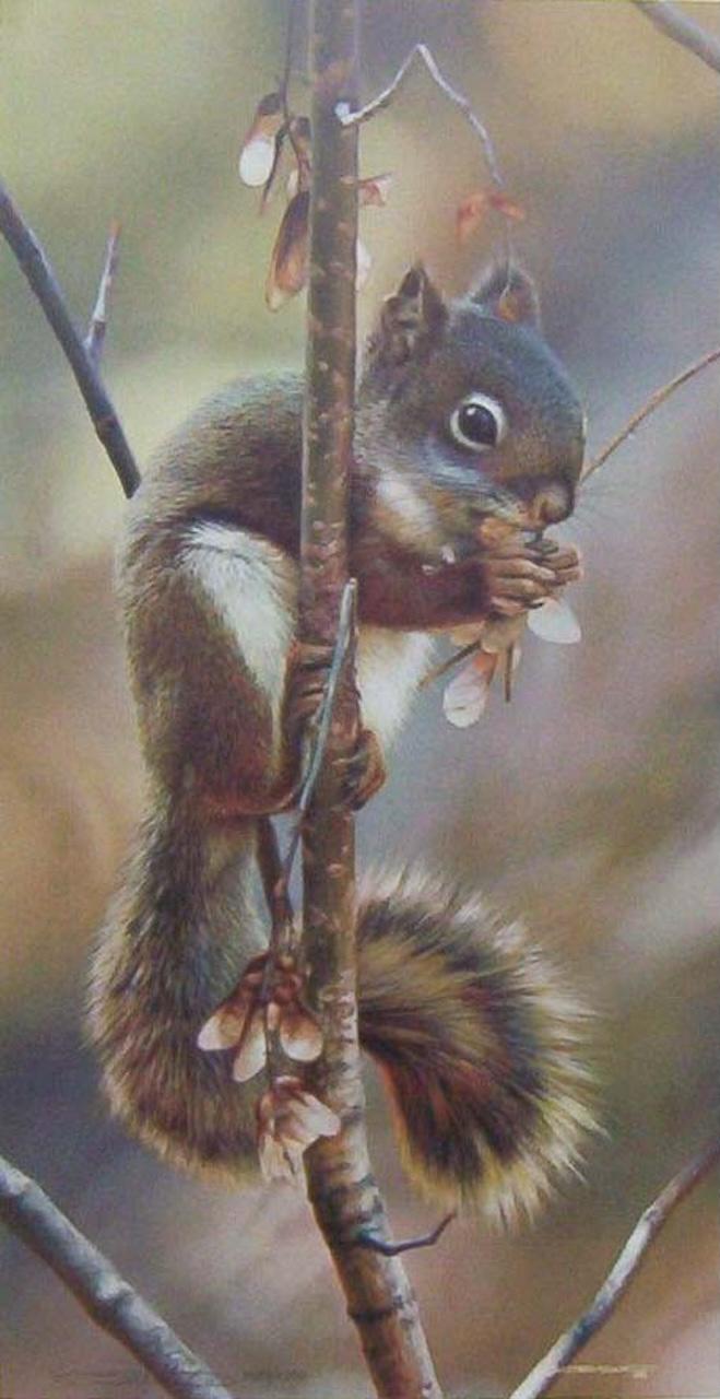 ArtCountryCanada - Etsy