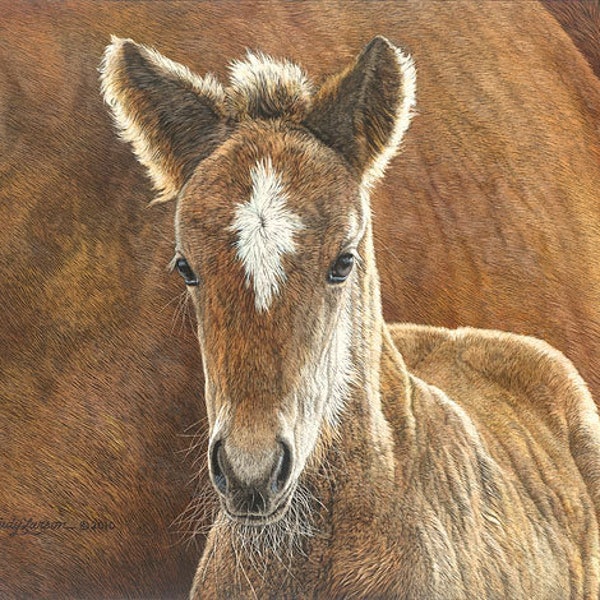 JUDY LARSON " Wild In The Country " Limited Edition Signed & Numbered CANVAS Wildlife Horse Artist Scratchboard Detail New Life Foal Art