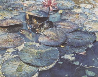 Steve HANKS S/N LEP Signed and Numbered Limited Edition Print " Water Lilies in Bloom " Calm Water Floating Pods Serenity Floral Art