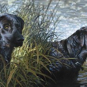 May include: A painting of two black Labrador Retrievers in a natural setting. One dog is partially hidden in tall grass, wearing a red collar. The other dog is in the water, with a reflective, shimmering water surface in the background.