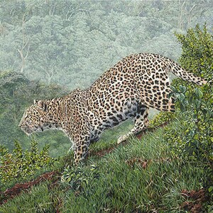 Guy Combes "Breaking Cover" SÄLLSYNT, endast 30 Begränsad upplaga Numrerad CANVAS Leopard Stor Katt Afrika Vilda Djungel Träd Väggdekor