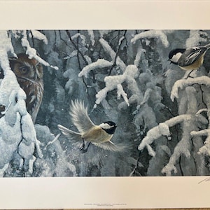 Robert Bateman &quot; Chickadees Screech Owl The Scolding &quot; Print Limited Edition Signed & Numbered Art Collectible Bird Of Prey Artist Proof #1