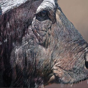 Guy Combes " Titan I " Limited Edition Numbered Canvas Chief Buffalo Kenya Africa Safari Animals High Realism Wall Decor Wildlife Art RARE