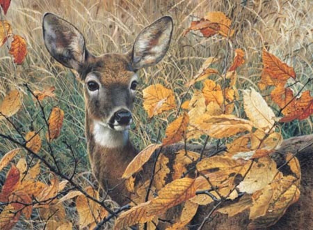 洋書　WILD LIFE IN AMERICAN ART 洋書 WILD LIFE IN AMERICAN ART American Wildlife Art: Wagner