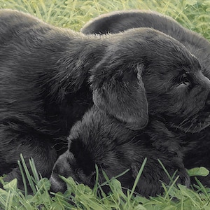 May include: A painting of two black Labrador Retriever puppies nestled together in green grass. The puppies are lying down, with their eyes closed, appearing to be sleeping. The artist's signature is in the bottom right corner.