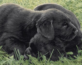 100 " Naptime " Lab Puppies Limited Edition Canvas JOHN WEISS Signed & Numbered 9x12 Labrador Dogs Man's Best Friend Adored Puppy Breed Art