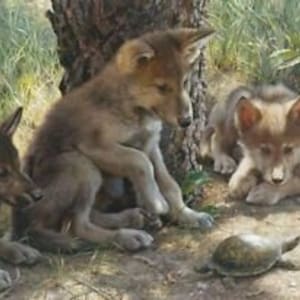 May include: A painting shows three wolf cubs looking at a small tortoise. The cubs have brown and tan fur, and are near a tree trunk and greenery. The tortoise is small and dark, on the ground.