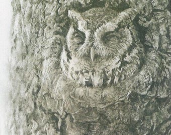 Robert Bateman " Screech Owl In Apple Tree " Limited Edition Etching Signed Numbered Art Rare Original Lithograph Hand Coloured Wildlife Owl