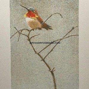 Robert Bateman &quot; Rufous Hummingbird &quot; Limited Edition Etching Signed Numbered Art Rare Original Lithograph Hand Coloured Canadian Artist