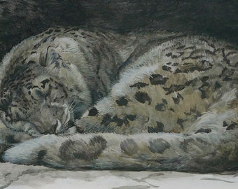 Robert Bateman Sleeping Snow Leopard Collectible Print Limited Edition Signed & Numbered art Fur Coat Blotchy Pattern Perfect Camouflage