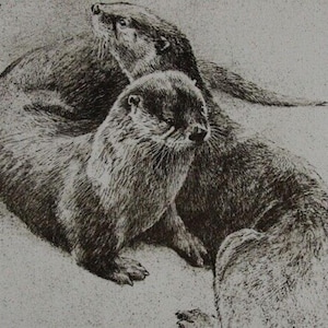 Robert Bateman &quot; Otter Pair &quot; Limited Edition Etching Signed Numbered Art Rare Original Lithograph Hand Coloured Canadian Wildlife Artist