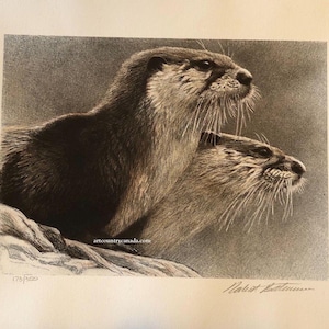 Robert Bateman &quot; River Otters &quot; Limited Edition Etching Signed Numbered Art Rare Original Lithograph Hand Coloured Canadian Wildlife Artist