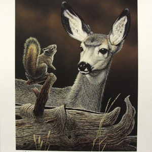 Glenn Olson &quot;Bright Eyed and Bushy Tailed&quot; Limited Edition Print Signed & Numbered art Certificate of Authenticity Mint condition Deer