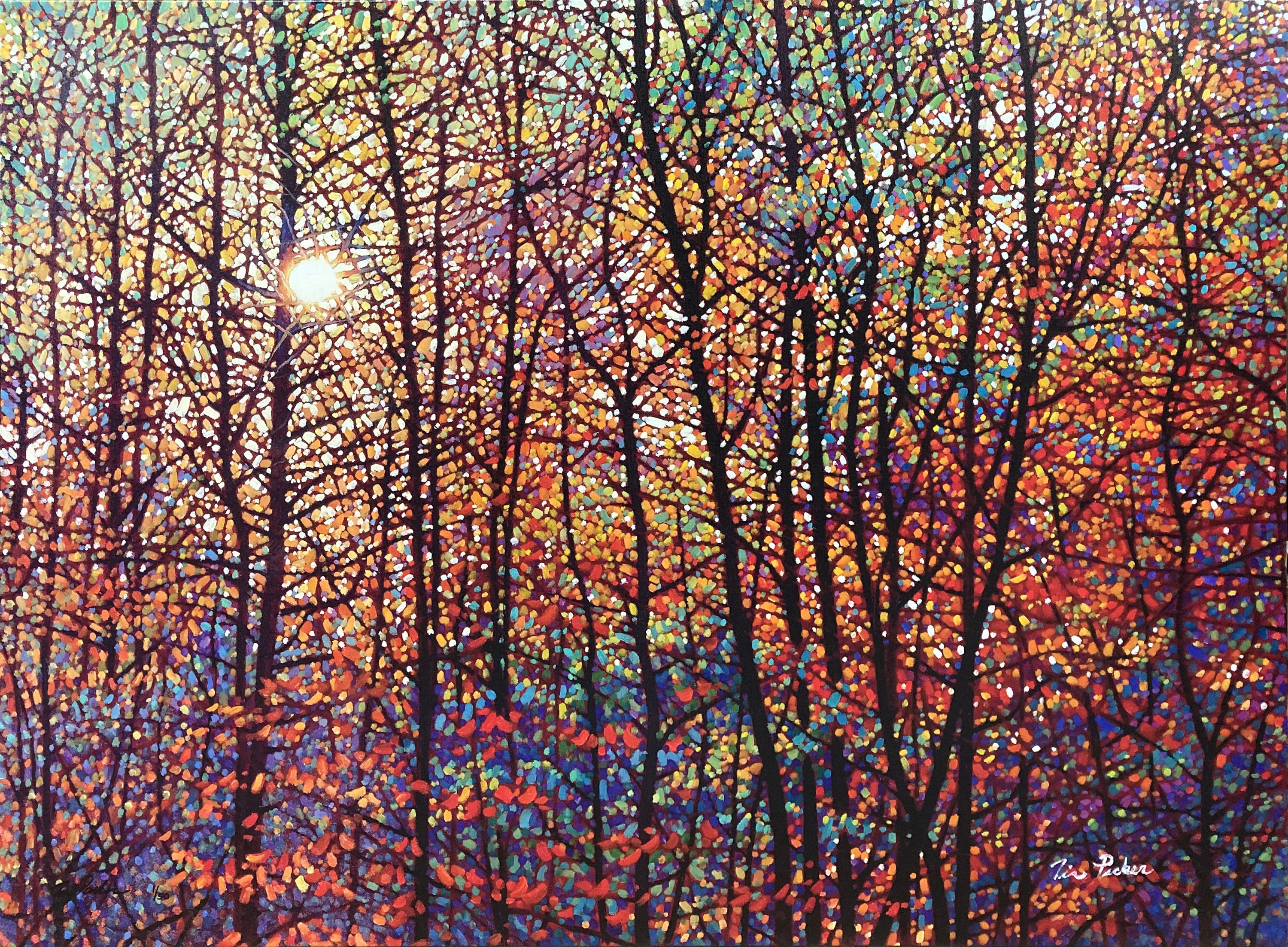 Tim PACKER 