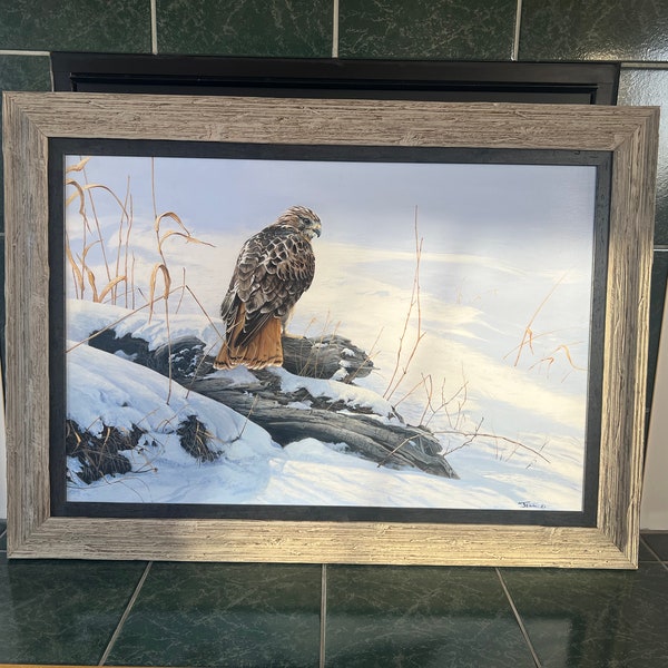 Michael JELL Original Painting " Red Tailed Hawk " Acrylic on board ART Collectible Hyperrealism Famous Artist RARE Wildlife Framed Bird
