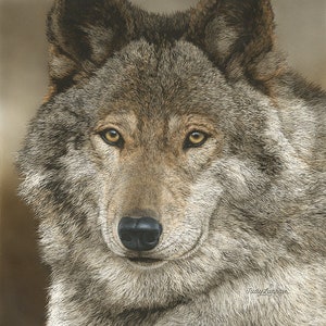 May include: A detailed portrait of a wolf's face, showcasing its intense yellow eyes and textured gray and brown fur. The artwork captures the animal's focused gaze and the intricate details of its features.