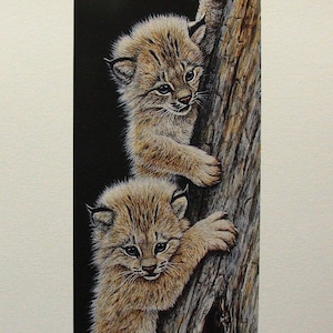 Glenn Olson &quot;Kitten Caper&quot; Limited Edition Print Signed & Numbered art Certificate of Authenticity Mint condition Wild kittens climbing tree