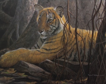 Robert Bateman " Under The Banyan Bengal Tiger " Print Limited Edition Signed & Numbered of 950 Collectible Rare OOAK Wildlife ART Forest