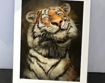 Patrick LaMontagne " Smiling Tiger " Nationally Syndicated Editorial Cartoonist Illustrator Funny Looking Animals Makes People Smile ART