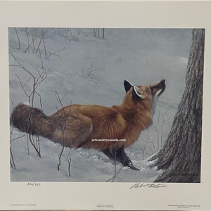 Robert BATEMAN &quot; Game Over Fox & Maple &quot; Print Limited Edition Signed and Numbered art Collectible Looking Up Tree Winter Snow RARE