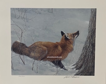 Robert BATEMAN &quot; Game Over Fox & Maple &quot; Print Limited Edition Signed and Numbered art Collectible Looking Up Tree Winter Snow RARE
