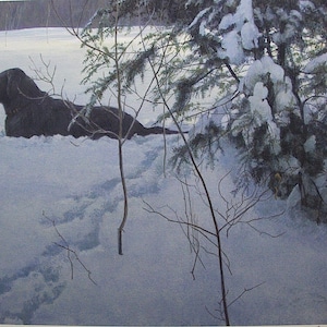 Robert Bateman Off the Leash Collectible Print Limited Edition Signed & Numbered art Companion Labrador Dog Roving In Nature Newfoundland