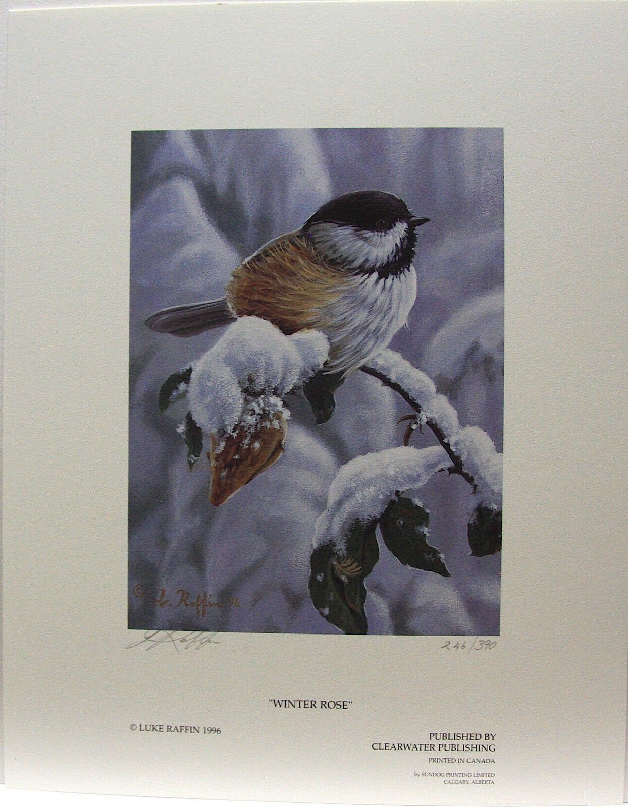 Luke Raffin "Winter Rose" Limited Edition RARE Print Signed & Numbered art Certificate of Authenticity Mint condition Snow Bird