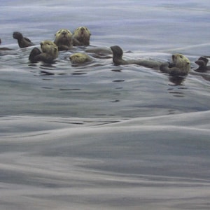 Robert Bateman Raft of Otters Collectible Print Limited Edition Signed & Numbered art