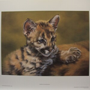 Maurade BAYNTON &quot; Portrait of Innocence &quot; Cougar Kitten Limited Edition Print Signed & Numbered art Certificate of Authenticity Mint