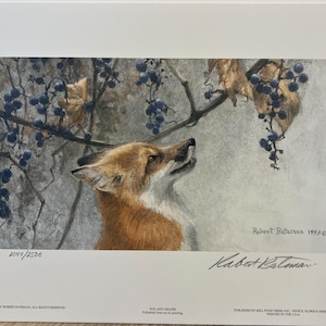 Robert Bateman &quot; Fox And Grapes &quot; RARE Red Fox Limited Edition Signed and Numbered Collectible Art Print Perfect COA original print Folder