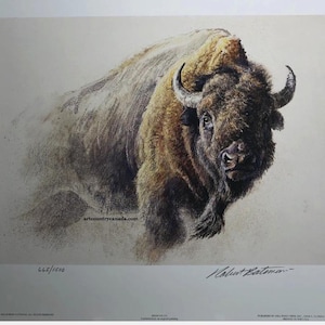 May include: A fine art print featuring a detailed illustration of a bison with thick brown fur and curved horns. The artwork includes the text artecountrycanada.com, the handwritten signature Robert Bateman, and the edition number 665/1500.