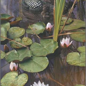 May include: A painting of a loon with two chicks on its back, floating in a pond. The water is surrounded by lily pads and blooming water lilies. A small green frog sits on a lily pad near a flower.