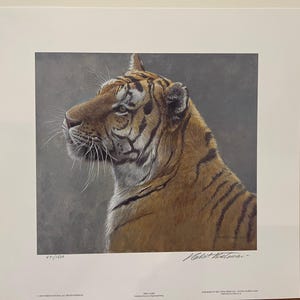 Première alerte de Robert Bateman - Impression de tigre de Sibérie en édition limitée, oeuvre d'art numérotée et signée, collection Majestic Wild Cat Stripes en voie de disparition