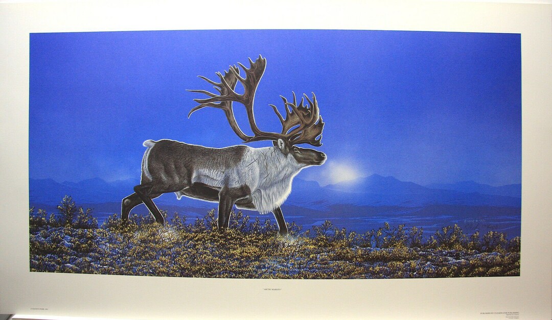 Artist R Fehr Randy FEHR