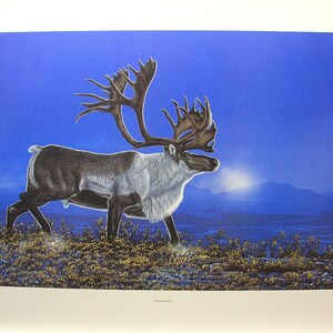 Randy FEHR &quot; Arctic Majesty &quot; Limited Edition RARE Print Signed & Numbered art Certificate of Authenticity Mint condition Caribou