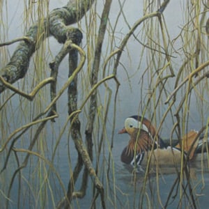 Puede incluir: Pintura de dos patos mandarines nadando en un estanque, parcialmente ocultos por las ramas de un sauce llorón. El pato macho tiene un plumaje naranja, blanco y negro vibrante. La escena está ambientada en un entorno natural y brumoso.