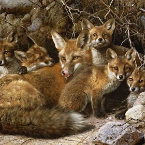 Carl BRENDERS &quot;Full House - Fox Family &quot; Limited Edition Signed & Numbered CANVAS Wildlife Artist. Foxes Den mother and cub NS