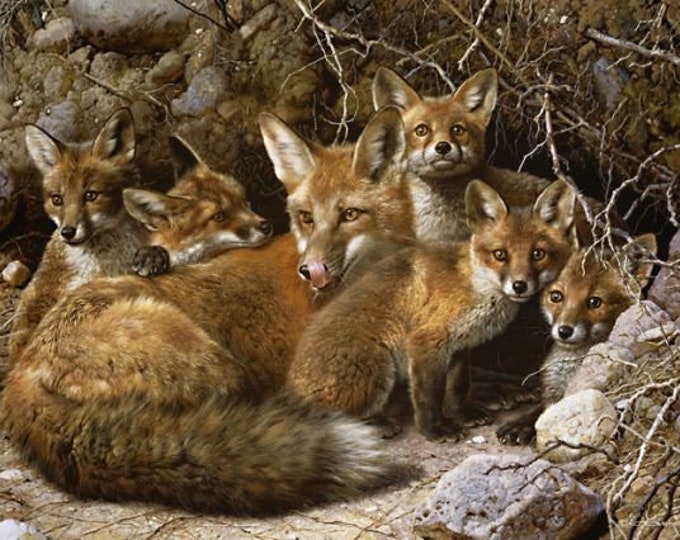 Carl Brenders Merlins Fine Art Print,merlins at the Nest 1984, Vintage