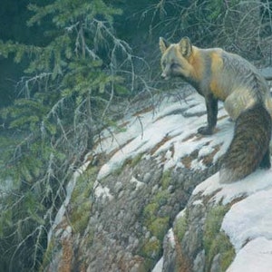 Robert Bateman Fox Crossing Giclee Canvas RARE Limited Edition Signed & Numbered art Collectible Cool Colours