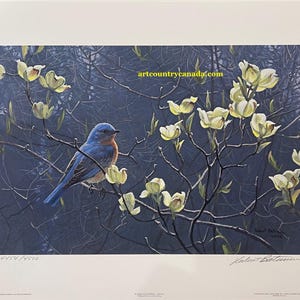 Robert Bateman "Bluebirds & Blossoms" Barn Print Edizione limitata firmata e numerata da collezione ART Perfect Canadian Song Bird Floral