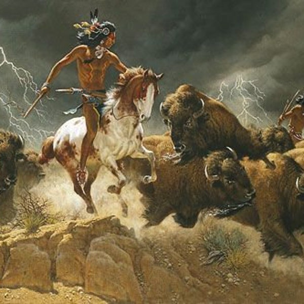14 3/8Hx24W Frank C. McCarthy "Flashes of Lightning, Thunder of Hooves" Ltd Edition PRINT Award Winning Artist Native American Buffalo Art