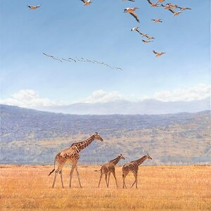 Guy Combes "Höga förhoppningar" SÄLLSYNTA Begränsad upplaga Numrerad Giclée-canvas Utrotningshotade Rothschild-giraffer Herd Safari i Kenya Afrikanska djur