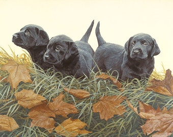 73 " Lab Puppies " Limited Edition Canvas JOHN WEISS Signed & Numbered 13x17 Trio Labrador Dogs Man's Best Friend Adored Puppy Breed