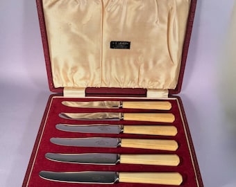 1920er Jahre Buttermesser im Original Etui. Joseph Elliot & sons Edelstahl Sheffield