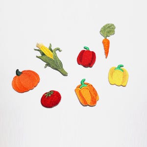 May include: A collection of embroidered vegetable patches, featuring a pumpkin, sweetcorn, tomato, red and yellow peppers, and a carrot. The patches are brightly coloured and intricately stitched, ideal for customising garments or accessories.